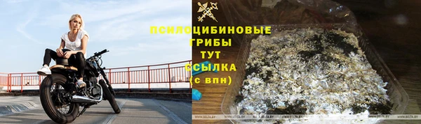молекула духа Володарск
