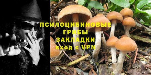 молекула духа Володарск