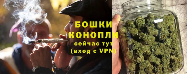 соль ск Волосово