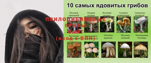 соль ск Волосово