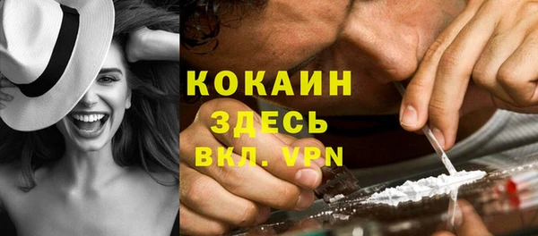 соль ск Волосово