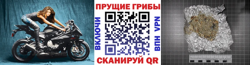 Псилоцибиновые грибы мухоморы  Данилов 